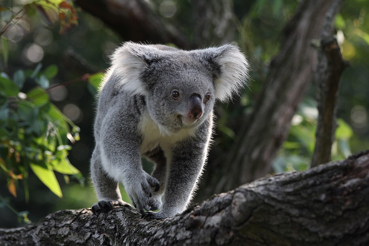 Zoo Duisburg